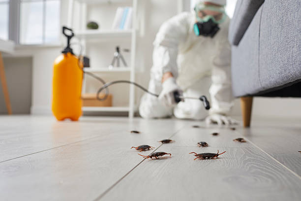 Commercial Kitchen Cockroach Control in Oreland
